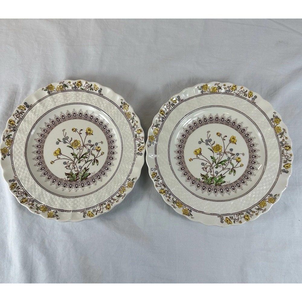 Spode Buttercup Salad Plates Set of 2 Wicker Embossed Chelsea Border England